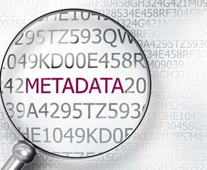 How metadata supercharges your RIM Software